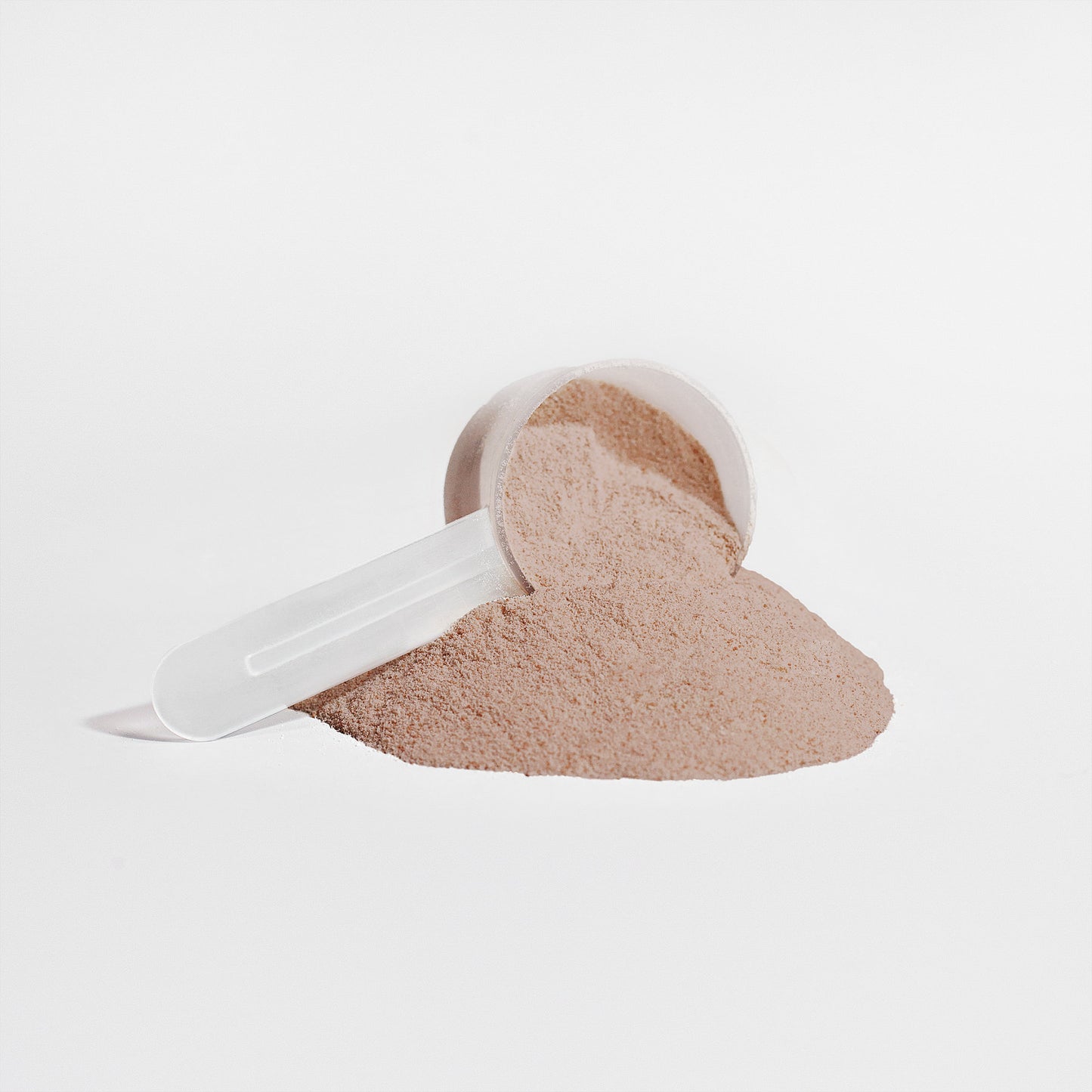 Exerbud Plant Protein (Chocolate)